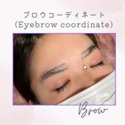 アイブロウ コーディネート